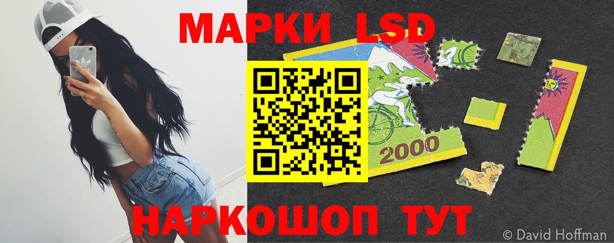 Новокубанск  Лсд 25 экстази ecstasy  Лсд 25 экстази ecstasy  Вход с VPN 